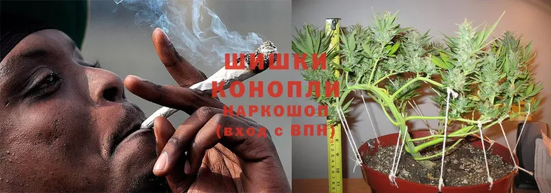 что такое   Дмитров  Марихуана OG Kush 